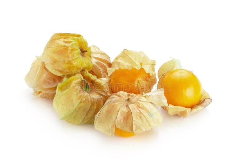 Kap Stachelbeer-, Physalisfrucht oder goldene Beere lokalisiert über weißem Hintergrund lizenzfreie stockfotografie Kap Stachelbeer-, Physalisfrucht oder goldene Beere lokalisiert über weißem Hintergrund lizenzfreie stockfotografie