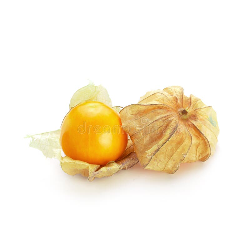 Kap Stachelbeer-, Physalisfrucht oder goldene Beere lokalisiert über weißem Hintergrund lizenzfreies stockbild Kap Stachelbeer-, Physalisfrucht oder goldene Beere lokalisiert über weißem Hintergrund lizenzfreies stockbild