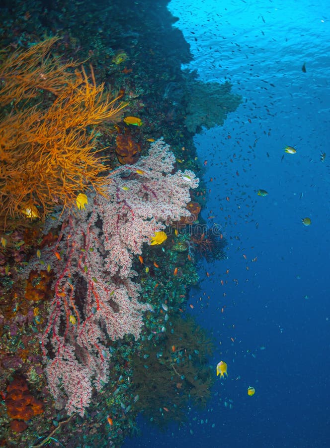 USAT Liberty was a United States Army cargo ship torpedoed by Japanese submarine I-166 in January 1942 and beached on the island of Bali, Indonesia. USAT Liberty was a United States Army cargo ship torpedoed by Japanese submarine I-166 in January 1942 and beached on the island of Bali, Indonesia