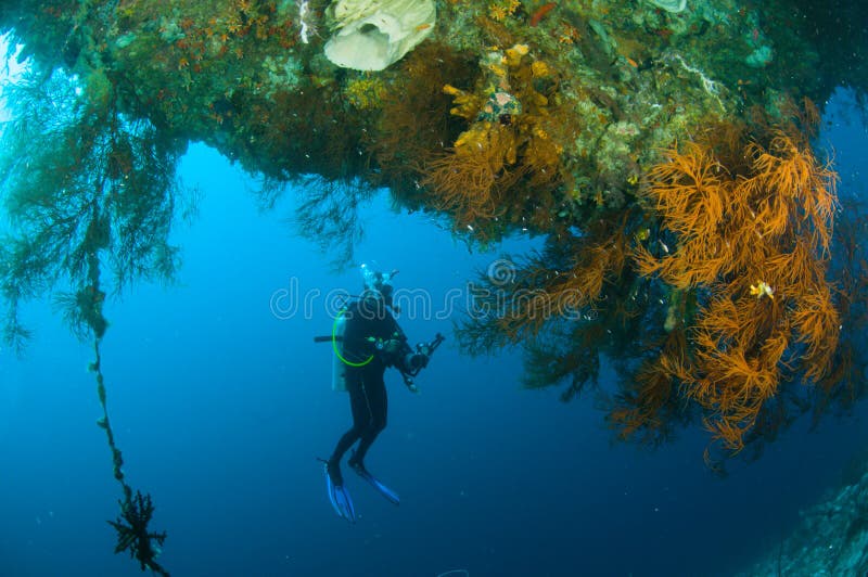 Kapoposang Sulawesi Indonésie de plongeur de plongée à l'air sous-marine photographie stock Kapoposang Sulawesi Indonésie de plongeur de plongée à l'air sous-marine photographie stock