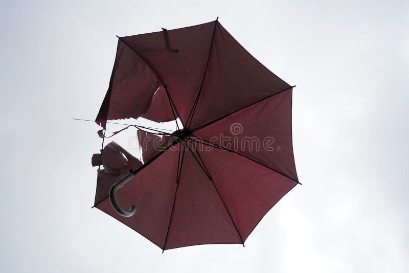 daar ben ik het mee eens schraper Tante Kapotte Paraplu Op De Achtergrond Van De Hemel Stock Foto - Image of zomer,  achtergrond: 198946666