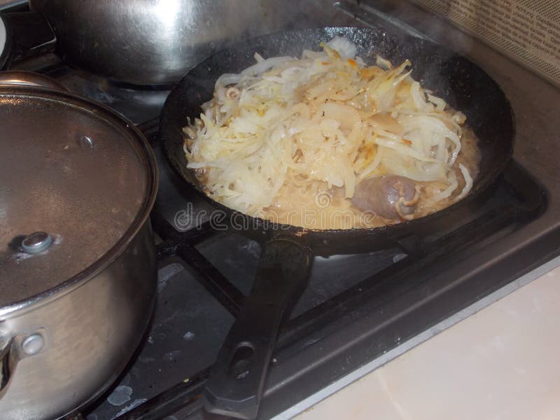 Kapusta stewed z kiełbasami na griddle na benzynowej kuchence obrazy royalty free Kapusta stewed z kiełbasami na griddle na benzynowej kuchence obrazy royalty free