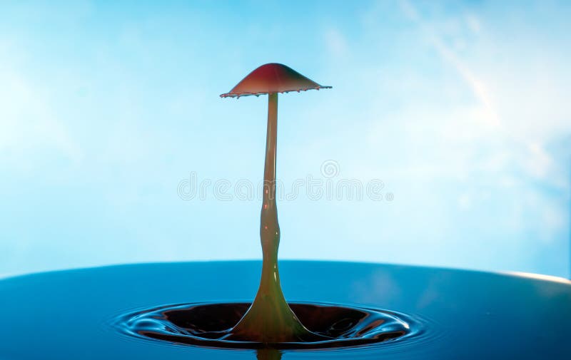 Karambol dwa kropli na powierzchni woda zdjęcie royalty free Karambol dwa kropli na powierzchni woda zdjęcie royalty free