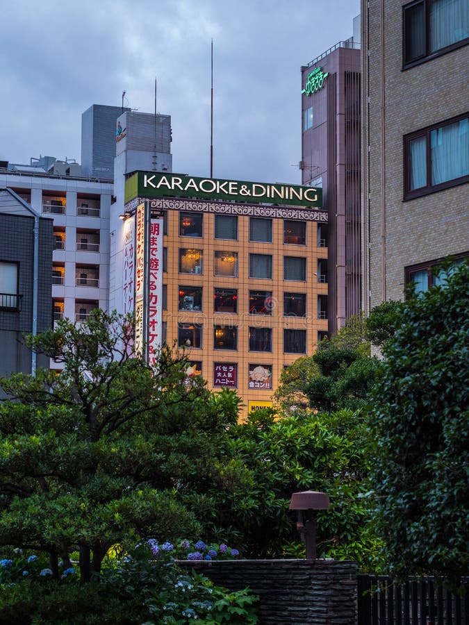 Karaoke And Dining Restaurant In Tokyo - TOKYO, JAPAN - JUNE 17, 2018