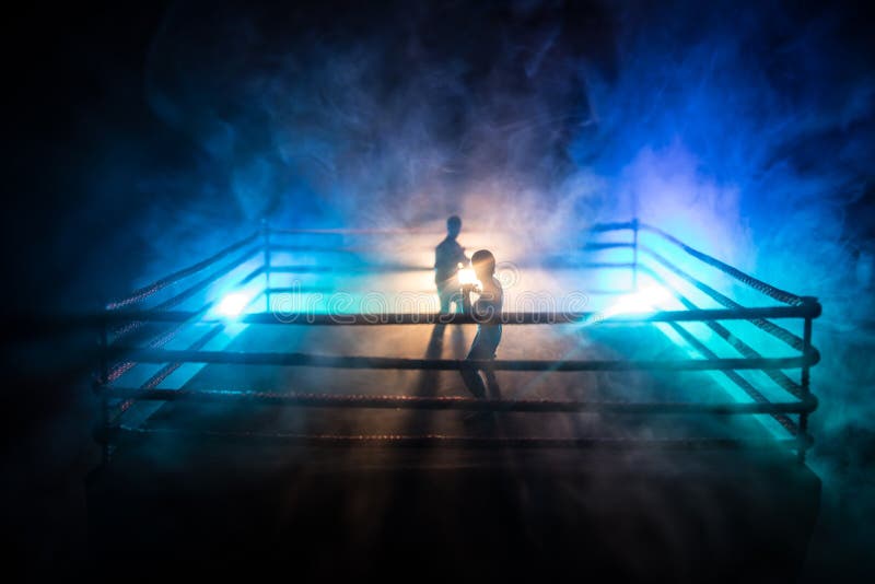 Blurred Background. Mma Fight Octagon Stage. Ring Extreme Sport Mixed ...