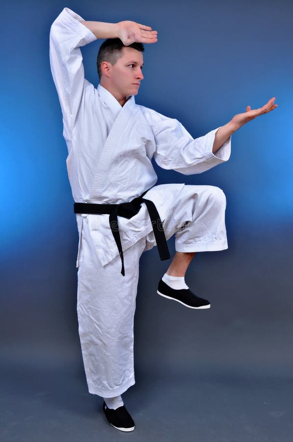 Karate fighting stance