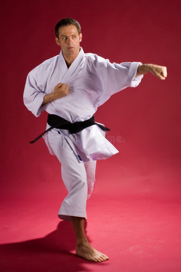Karate Instructor stock photo. Image of martial, sports - 5929086