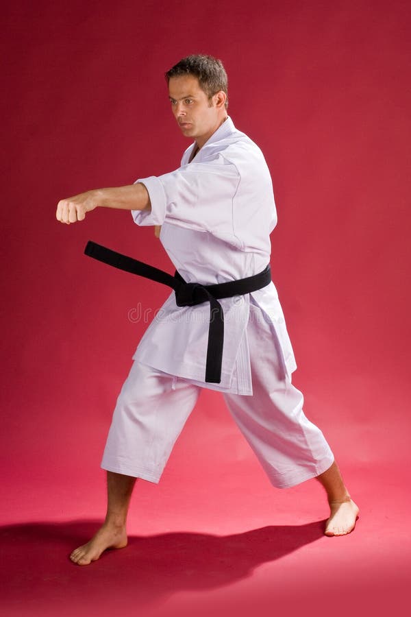 Karate man with black belt stock photo. Image of white 5919828