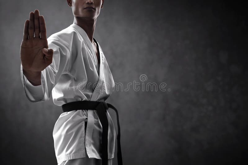 Karate Martial Arts Fighter on Dark Background Stock Photo - Image of male,  belt: 163629692