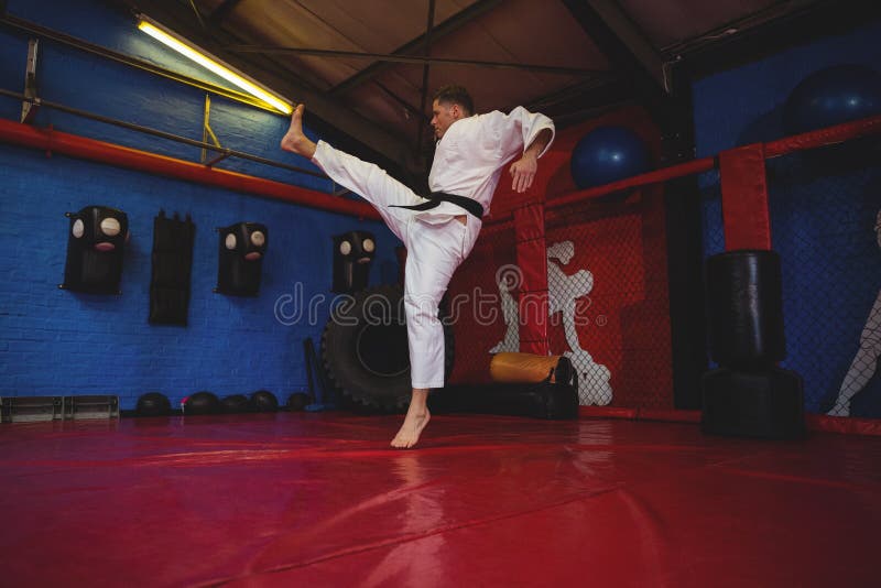 Karate Player Practicing Karate Stance Stock Image Image of fitness