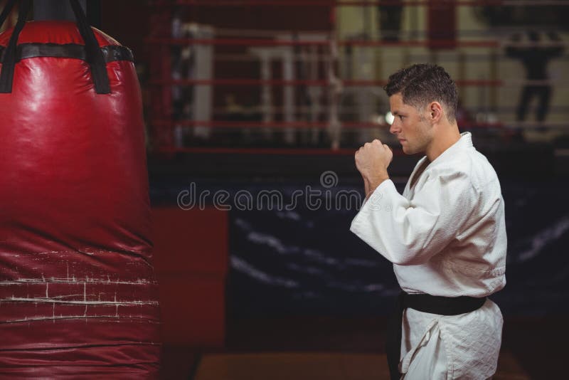 Karate boy punching stock photo. Image of karate, judo 27893572