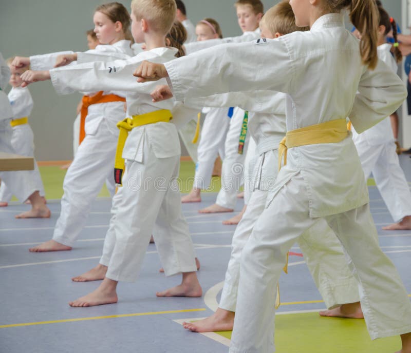 Karate szkolenie Dzieciaki różnej wiek praktyki wojenni ruchy obrazy stock Karate szkolenie Dzieciaki różnej wiek praktyki wojenni ruchy obrazy stock