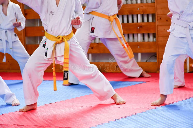 Karate training. editorial stock image. Image of active 117285494