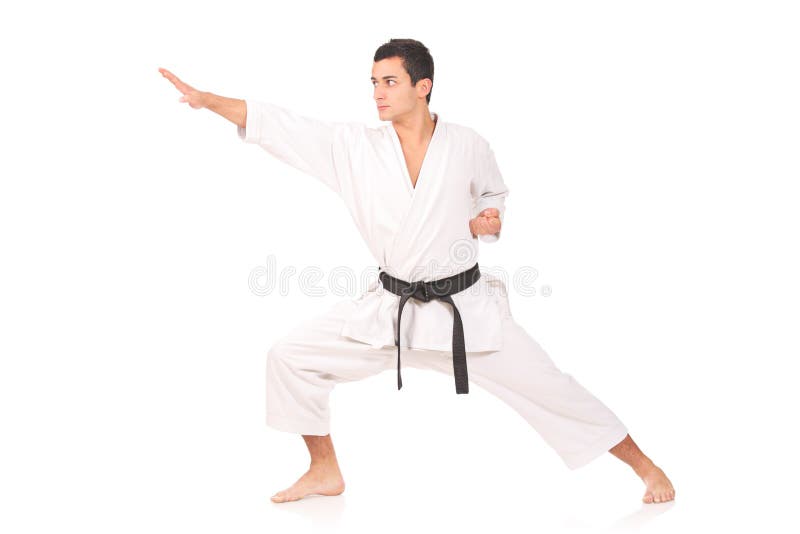 Karate άτομο στοκ φωτογραφίες με δικαίωμα ελεύθερης χρήσης