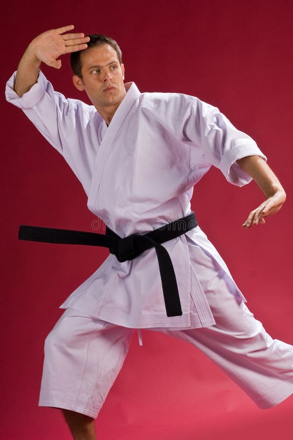 karate μπριζολών στοκ φωτογραφίες karate μπριζολών στοκ φωτογραφίες
