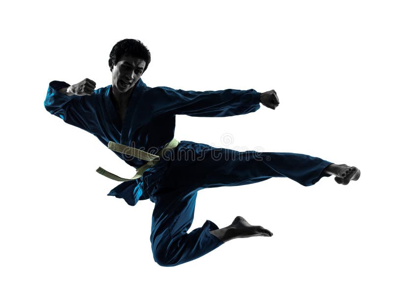 Karate σκιαγραφία ατόμων πολεμικών τεχνών vietvodao στοκ φωτογραφία Karate σκιαγραφία ατόμων πολεμικών τεχνών vietvodao στοκ φωτογραφία