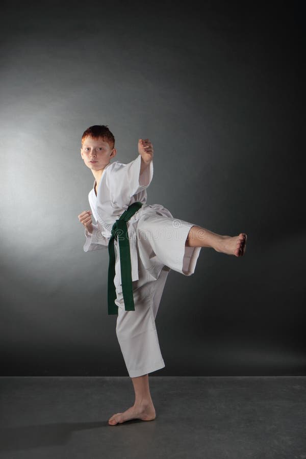 Karate στην επίθεση στοκ εικόνες Karate στην επίθεση στοκ εικόνες