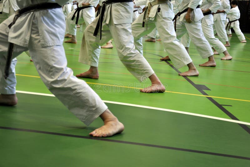 Karateposition stockbild Karateposition stockbild
