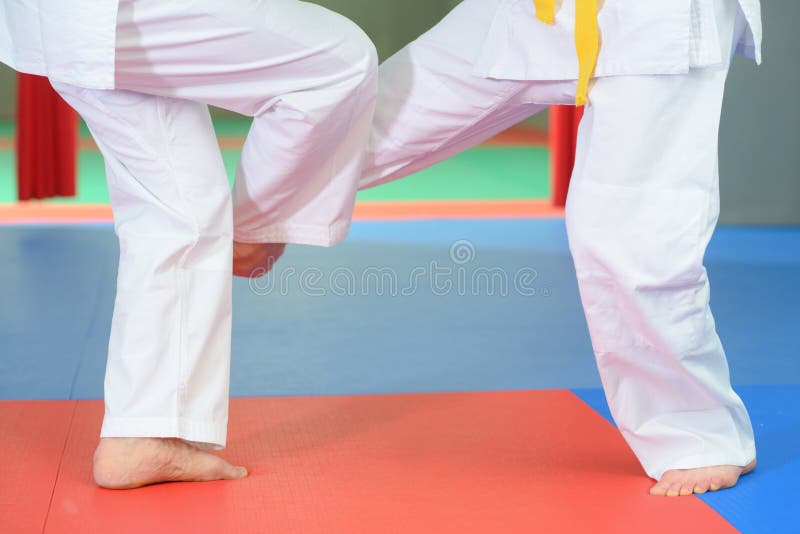 Karatè di combattimento durante la dimostrazione pubblica immagine stock libera da diritti Karatè di combattimento durante la dimostrazione pubblica immagine stock libera da diritti