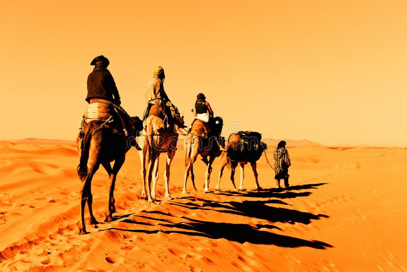 Karawany wielbłądzia pustynia Sahara