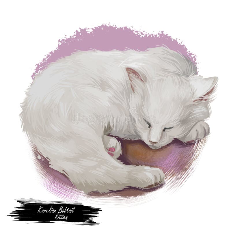 Kitty Art Tumblr Kitty Art Tumblr