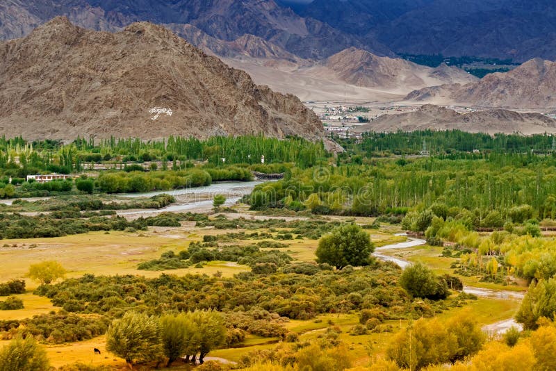 Kargil Ladakh - Indien fotografering för bildbyråer Kargil Ladakh - Indien fotografering för bildbyråer