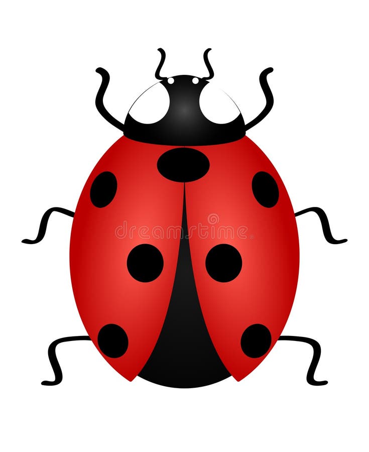 Karikatur Marienkafer Clipart Vektor Abbildung Illustration Von Lebewesen Programmfehler