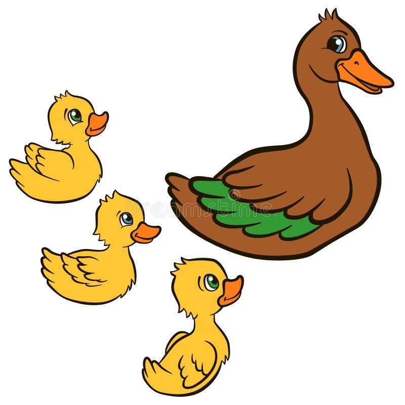 Karikaturvögel für Kinder Mutterentenschwimmen mit ihren Entlein vektor abbildung
