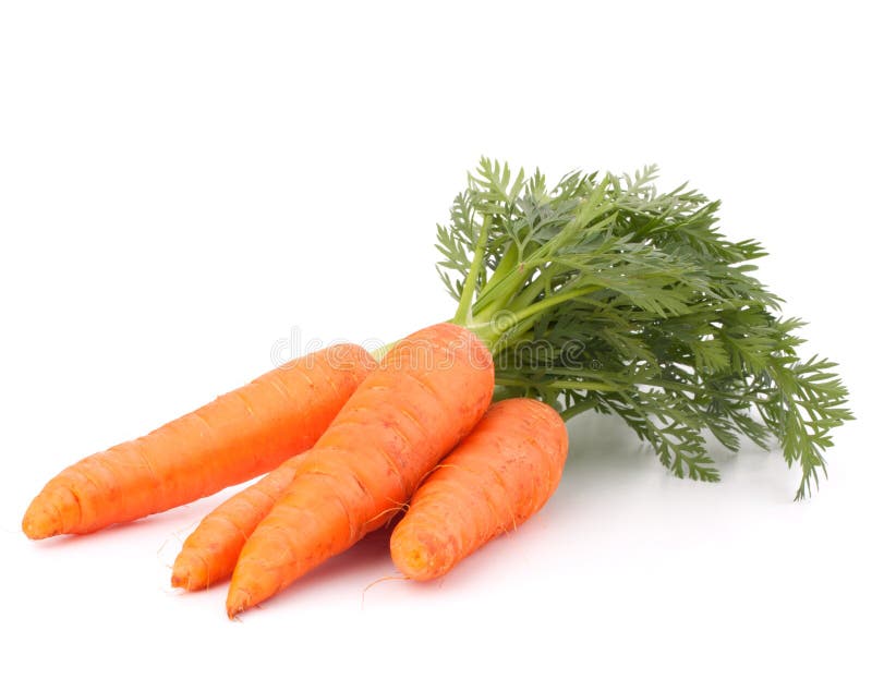 Karottengemüse mit Blättern lizenzfreies stockbild Karottengemüse mit Blättern lizenzfreies stockbild