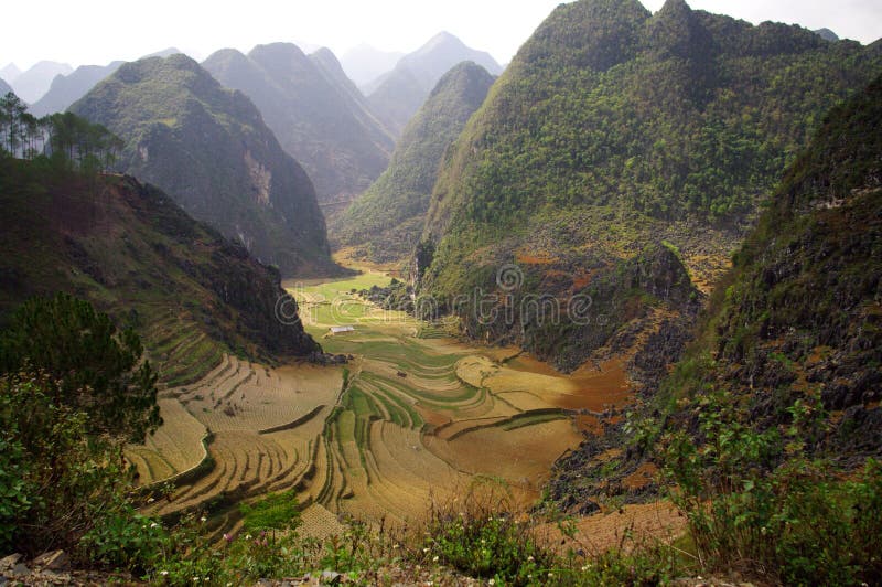 Karst landscape