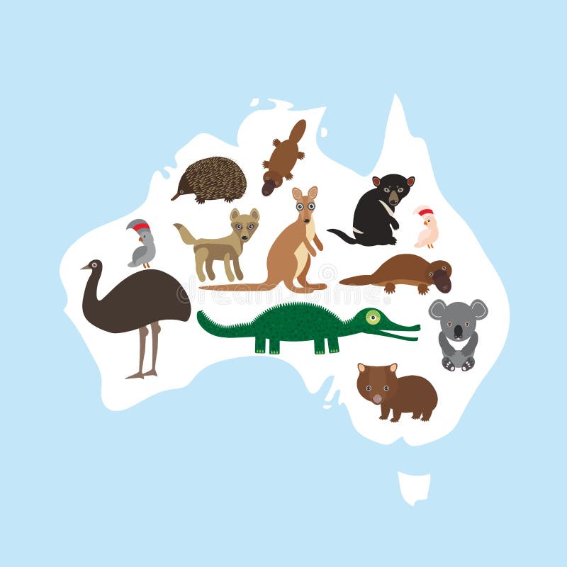 Karte von Australien Kakadupapagei Wombatkrokodil-Kängurudingo tasmanischer Teufel echidna-Schnabeltierstrauß Emus Vektor vektor abbildung Karte von Australien Kakadupapagei Wombatkrokodil-Kängurudingo tasmanischer Teufel echidna-Schnabeltierstrauß Emus Vektor vektor abbildung