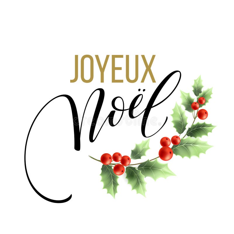 Kartenschablone der frohen Weihnachten mit Grüßen in der französischen Sprache Joyeux Noel Auch im corel abgehobenen Betrag vektor abbildung