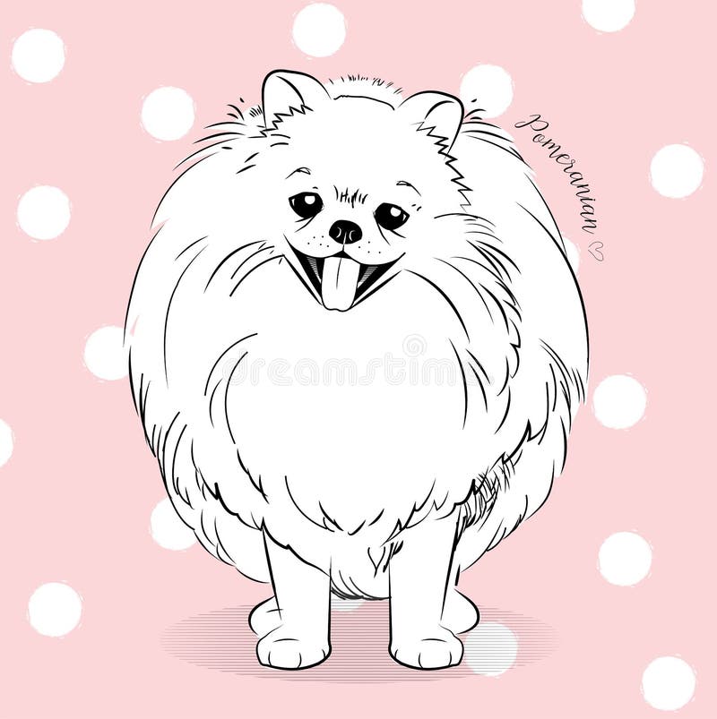 Pies Pomeranian Słodki Piesek Czarny I Biały Ręka Rysunek Ilustracja