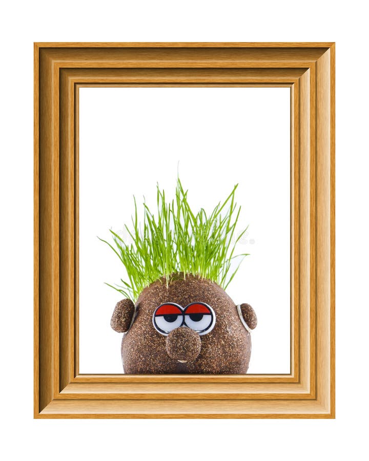 Kartoffelkopf Mit Gras Stockbild. Bild Von Betrieb, Konzept - 40814949