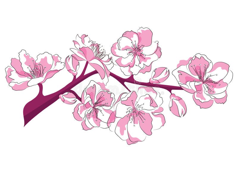 Kartoongrenen av körsbärsblommor Illustration av en sakura-gren med blommor Logotyp Bild av vårsymbolen royaltyfri illustrationer
