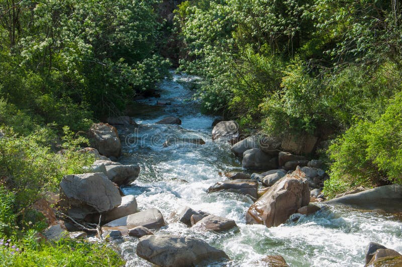 Kasachstan, die Tien Shan-Berge Transport-Ili Alatau Hoch flechten. Kasachstan, die Tien Shan-Berge Transport-Ili Alatau Hochland-Zus Gebirgsfluss, in den Bergen, Hochgebirge, schroffe Berge, Gebirge