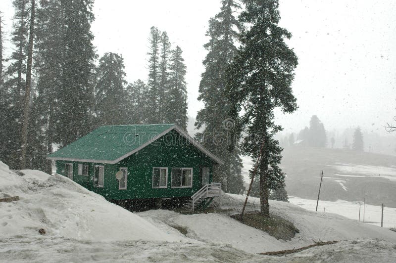 Kashmir snowfalls