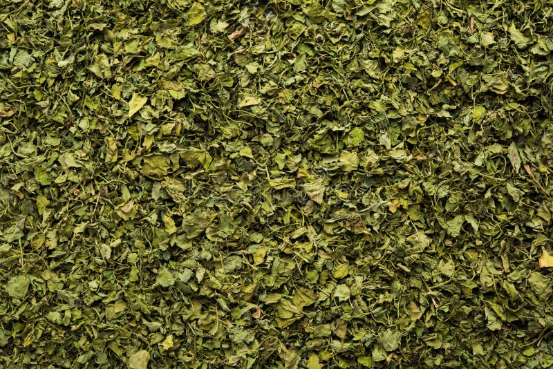 Kasoori methi oder getrocknete Bockshornkleeblätter. Kasuri methi kasoori methi oder für Bockshornkleeblätter alias Trigonella foenum graecum