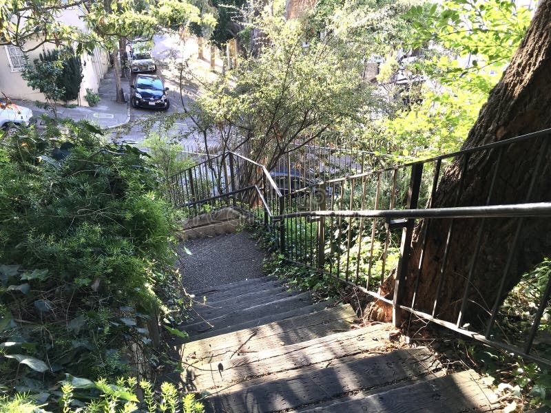 Tucked away in the beautiful Telegraph Hill section of San Franciscos North Beach is a very small park,designed and built by urban conservationist Jack Early. Thought unusable by the city,Jack proved them wrong by planting and maintaining the trees along this stretch of hill on Pfeiffer Street. He then used railway ties as steps. The view from the top is spectacular,but then you have to go back down the same way you came up. This park,a testament to Jack,is now one of the smallest,UNofficial parks in San Francisco. As seen 5 March 2018. Tucked away in the beautiful Telegraph Hill section of San Franciscos North Beach is a very small park,designed and built by urban conservationist Jack Early. Thought unusable by the city,Jack proved them wrong by planting and maintaining the trees along this stretch of hill on Pfeiffer Street. He then used railway ties as steps. The view from the top is spectacular,but then you have to go back down the same way you came up. This park,a testament to Jack,is now one of the smallest,UNofficial parks in San Francisco. As seen 5 March 2018.