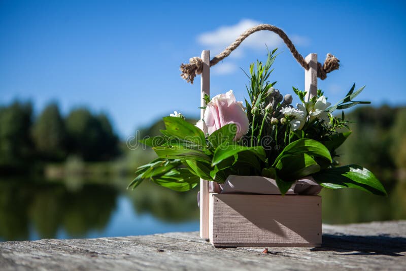 Kasten mit Blumen stockbild Kasten mit Blumen stockbild
