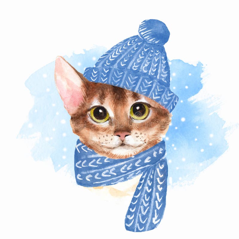 Kat in blauwe hoed vector illustratie Kat in blauwe hoed vector illustratie