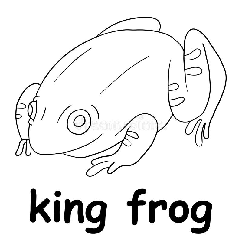 Kids Line Illustration Coloring King Frog. Animal Outline Stock Vector ...