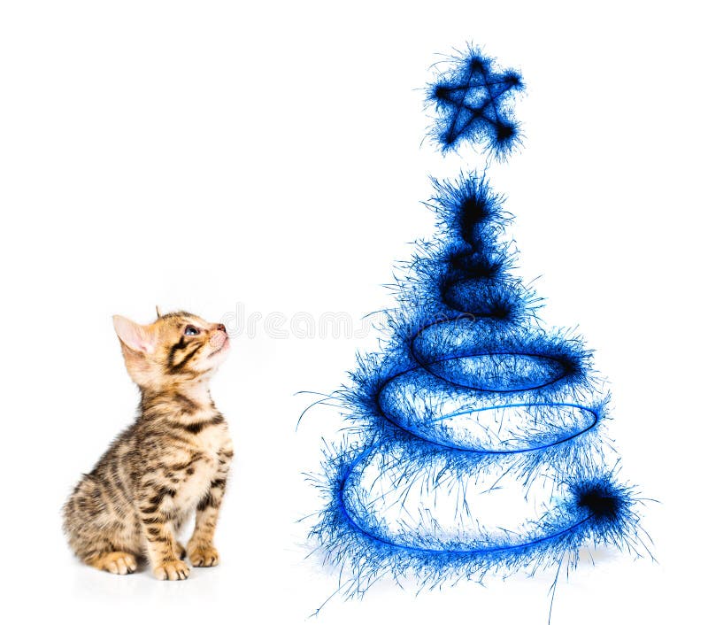 Katje die de Kerstboom op een wit bekijken stock foto's Katje die de Kerstboom op een wit bekijken stock foto's