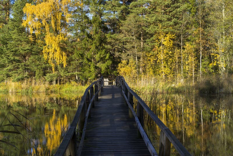 Katrineholm Sweden, October 18 2017, Beautiful nature and landscape photo of autumn day at the lake, Nice wooden bridge over water, Colorful trees and forest, Calm, peaceful, joyful, and happy image