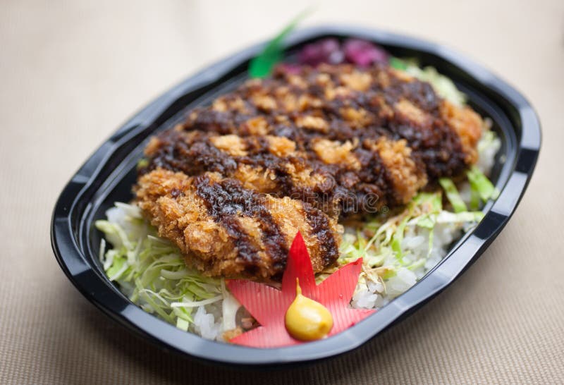 Katsudon giapponese Bento immagini stock libere da diritti Katsudon giapponese Bento immagini stock libere da diritti