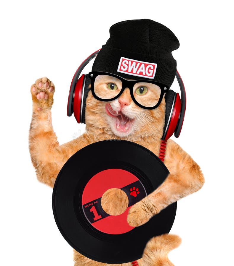 Katt för rekord för musikheadphonevinyl arkivfoton