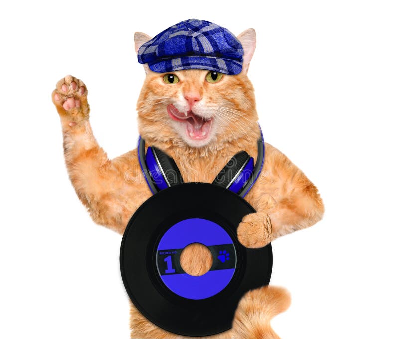 Katt för rekord för musikheadphonevinyl arkivfoto