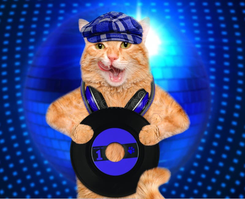 Katt för rekord för musikheadphonevinyl royaltyfria foton