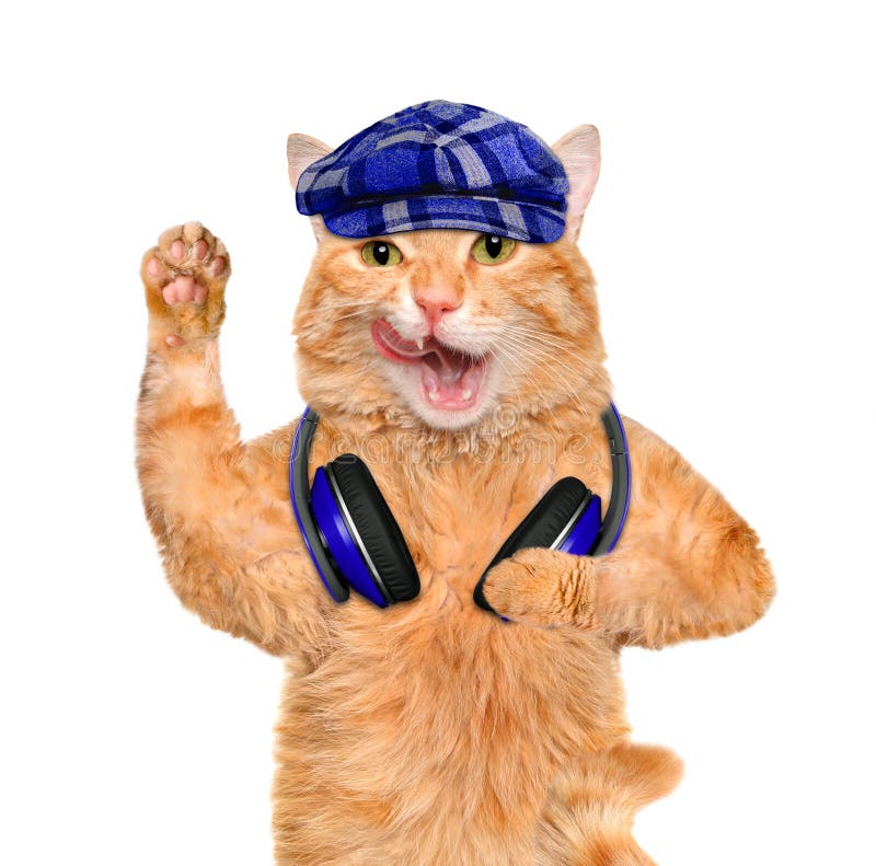 Katt för rekord för musikheadphonevinyl arkivbilder