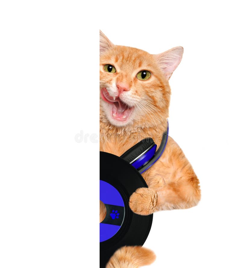 Katt för rekord för musikheadphonevinyl arkivbilder